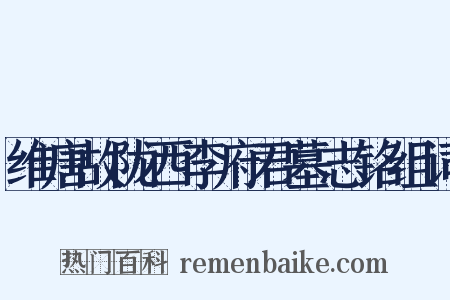 维唐故陇西李府君墓志铭组词是什么意思的图片